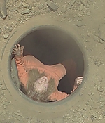 SRF-H336.jpg