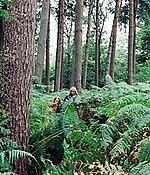 SRF-088.jpg